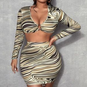 Brown Zebra Two Piece